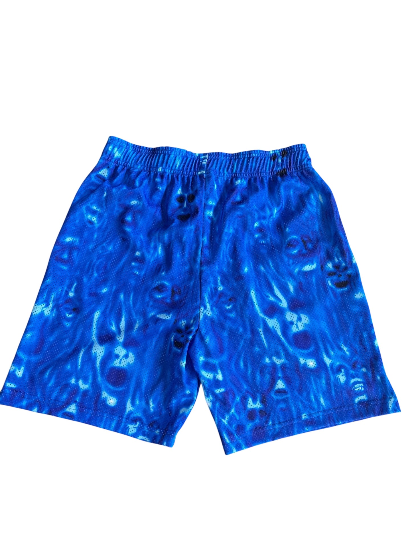 Warren Lotas Flame Short Blue