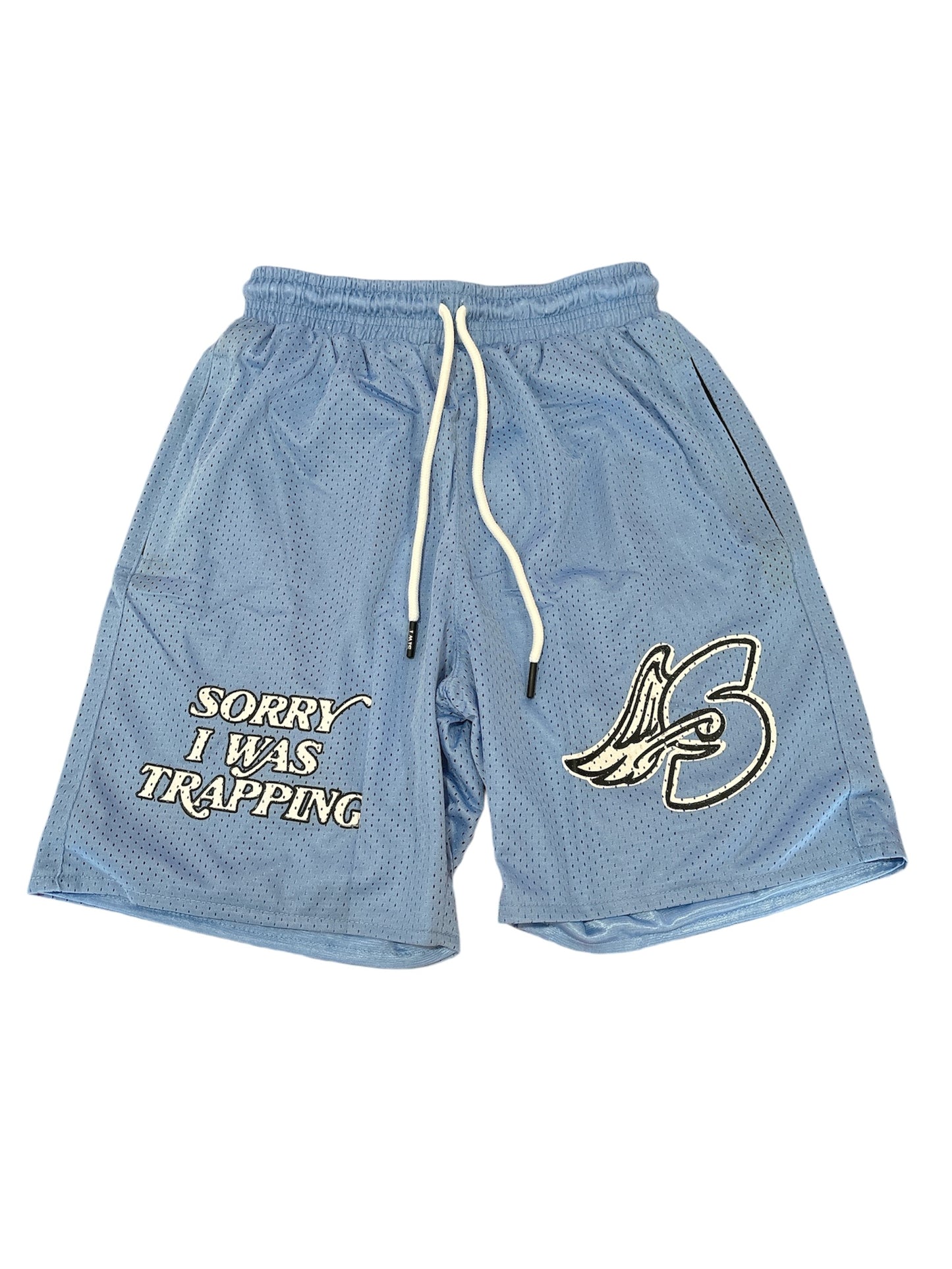 SIWT Shorts (light blue)