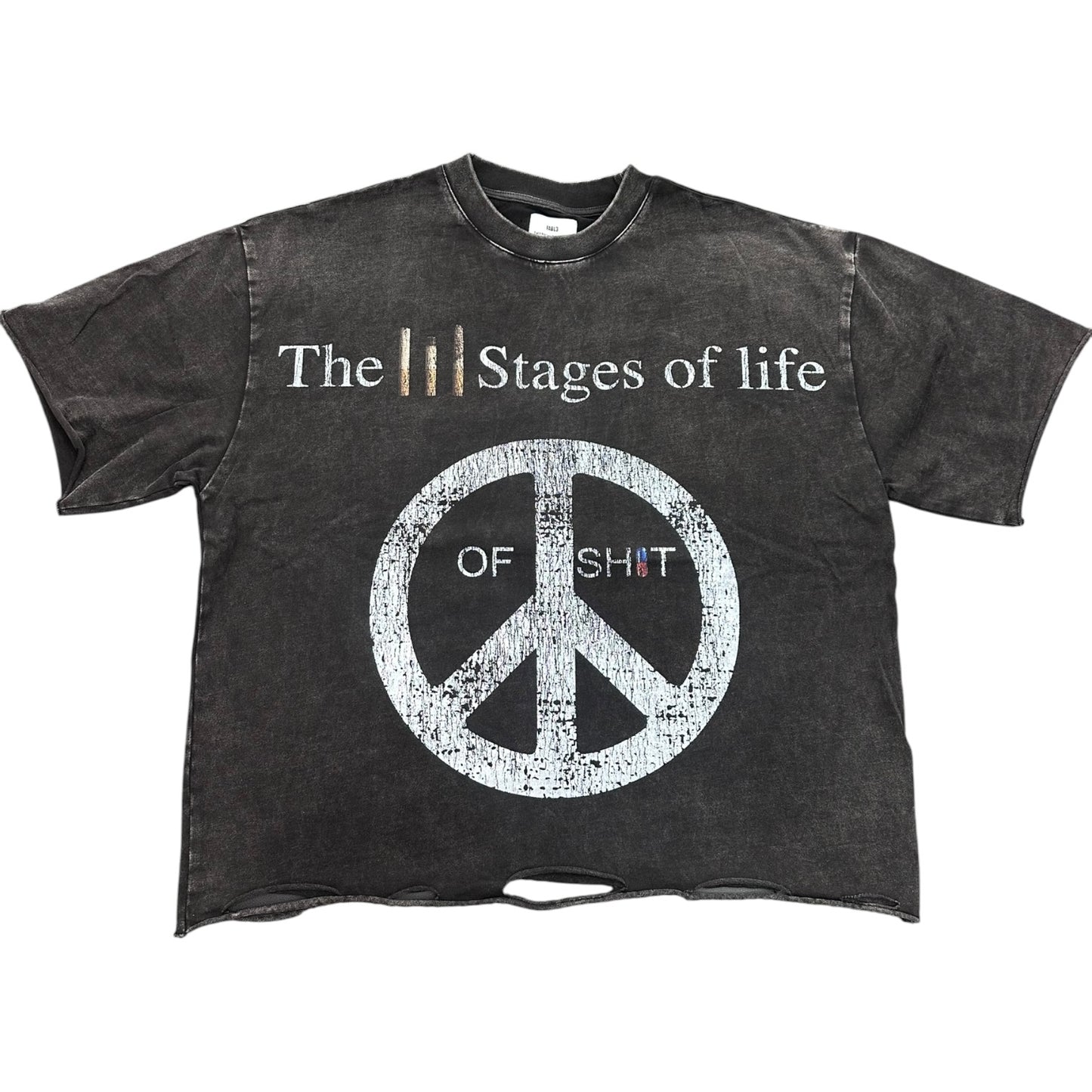 Fabl3 Three Stages Of Life Vintage Tee - new with tags