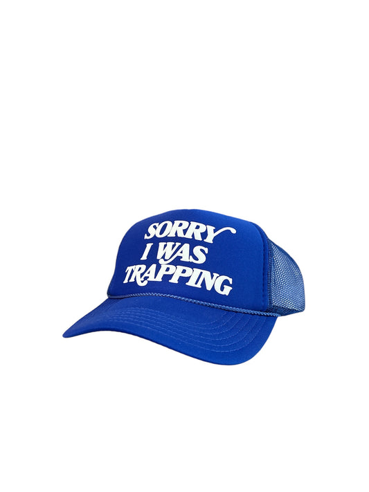 SIWT blue trucker hat