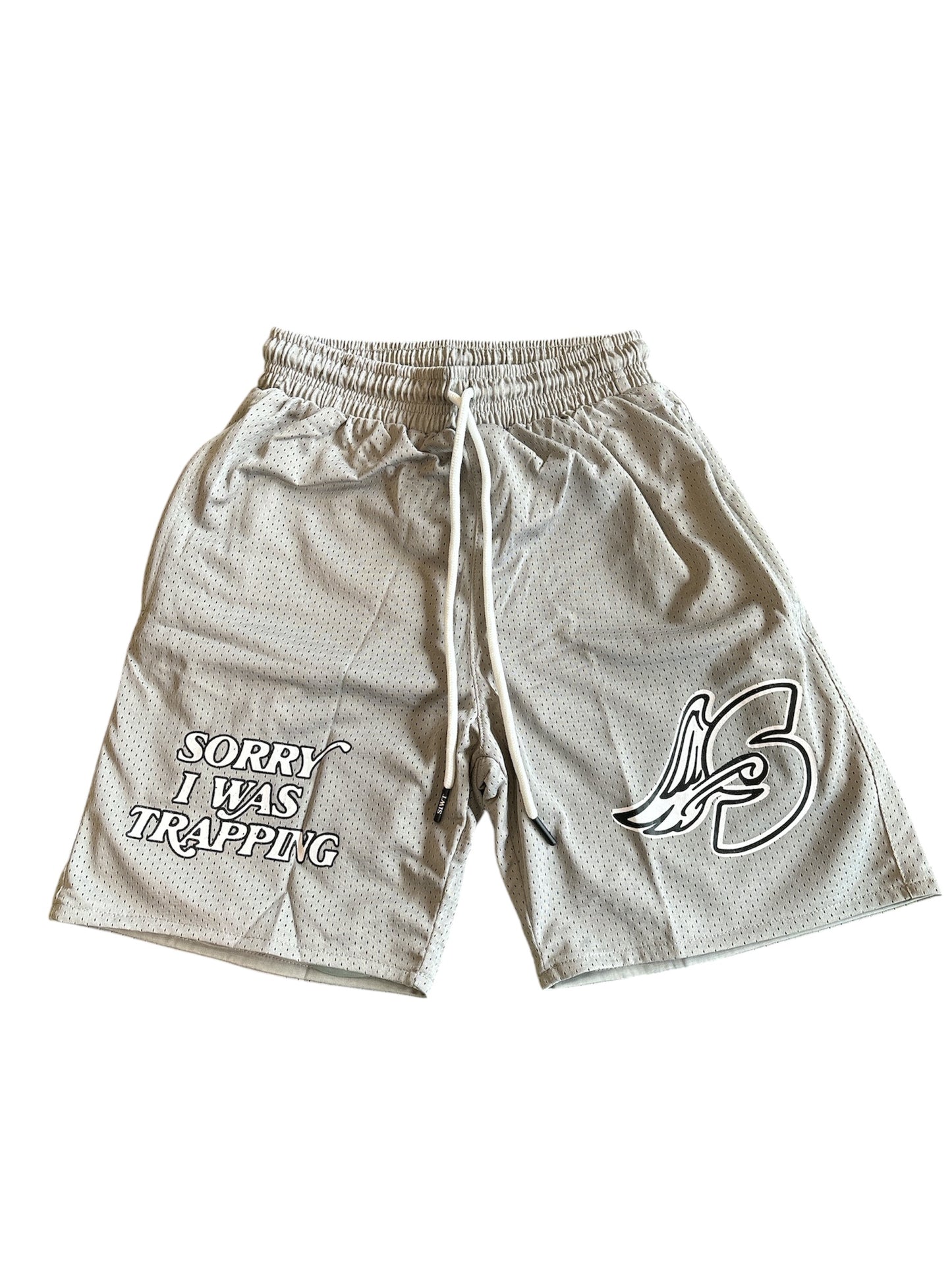 SIWT Shorts (grey)